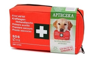 APTECZKA SAMOCHODOWA CAŁA EUROPA + USTNIK DIN
