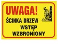 ffd2f7af41968db4d6074d269919